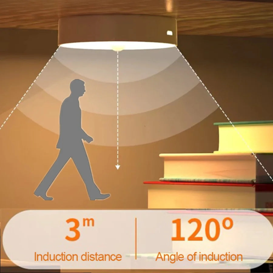 Intelligent Induction Motion Sensor Lamp