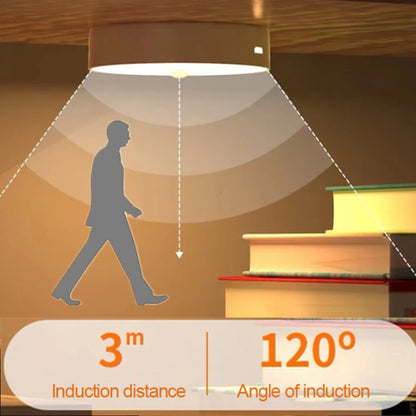 Intelligent Induction Motion Sensor Lamp